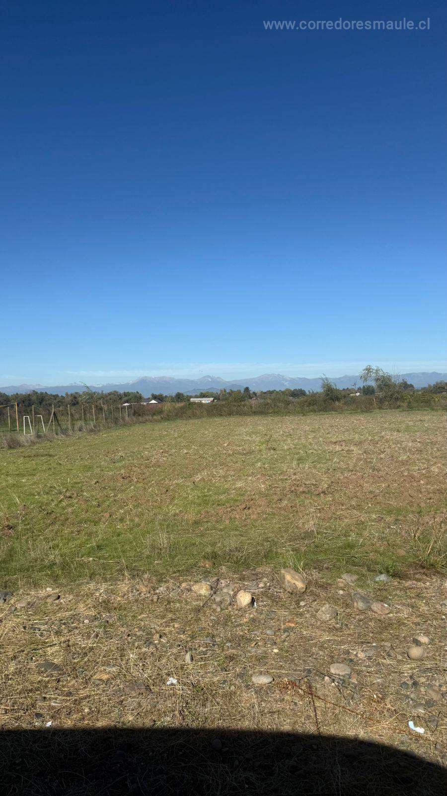 EN VENTA PARCELA EN PEUMO NEGRO, SAN CLEMENTE